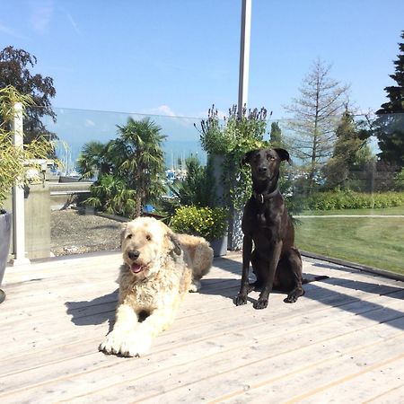 Lakelodge Romanshorn Exterior foto